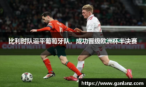 比利时队逼平葡萄牙队，成功晋级欧洲杯半决赛