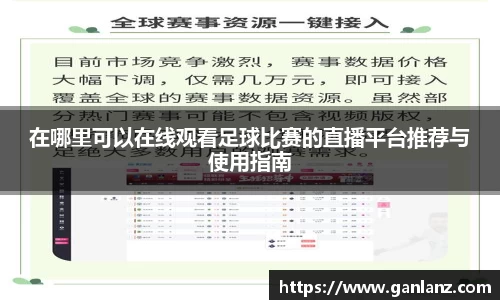 在哪里可以在线观看足球比赛的直播平台推荐与使用指南